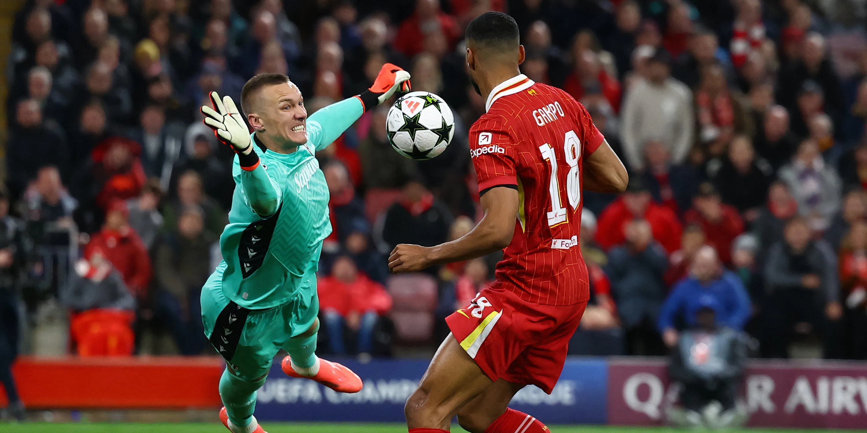 Cody Gakpo thi đấu tại Champions League