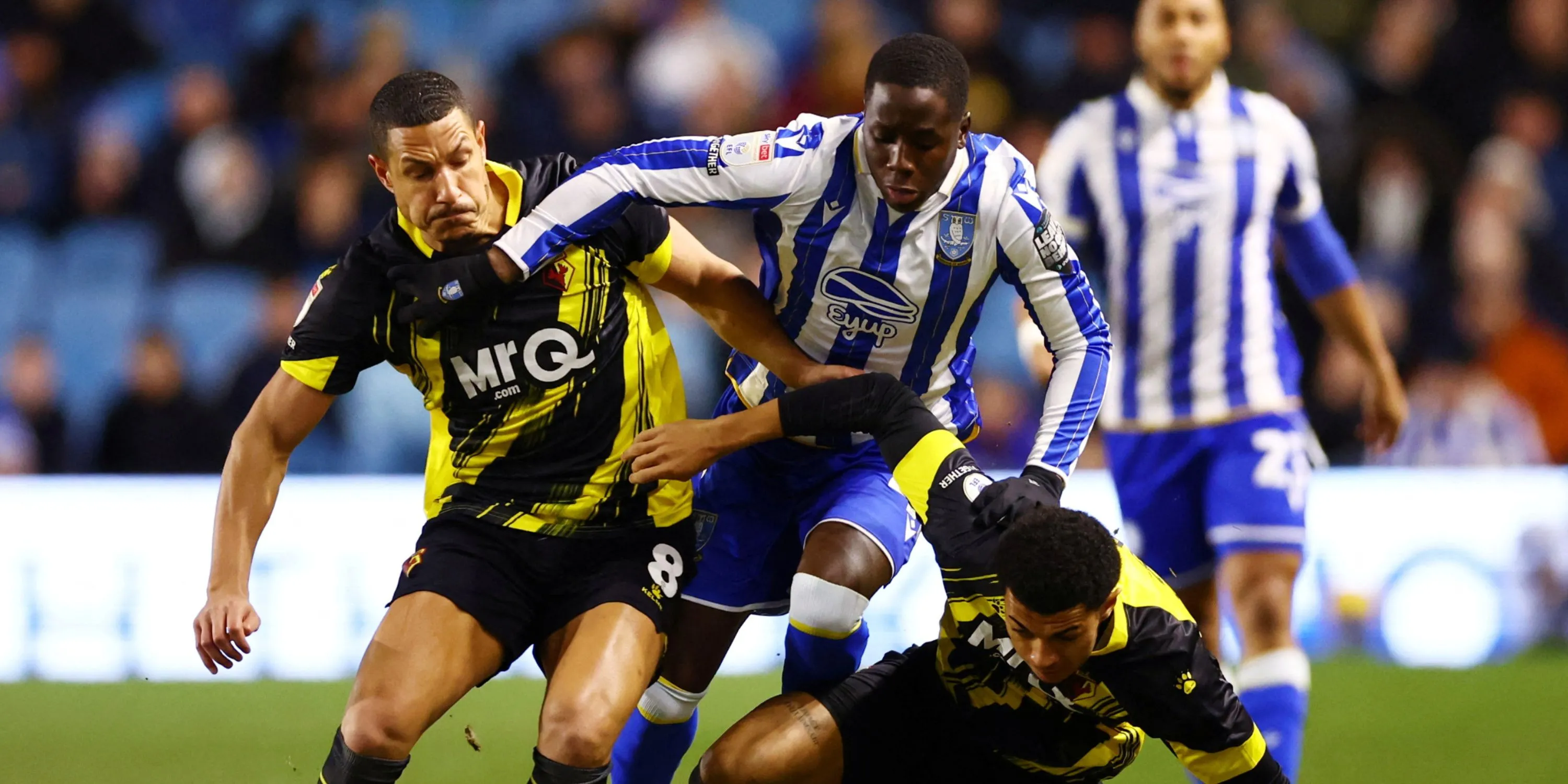 Djeidi Gassama thi đấu cho Sheffield Wednesday tại giải Championship