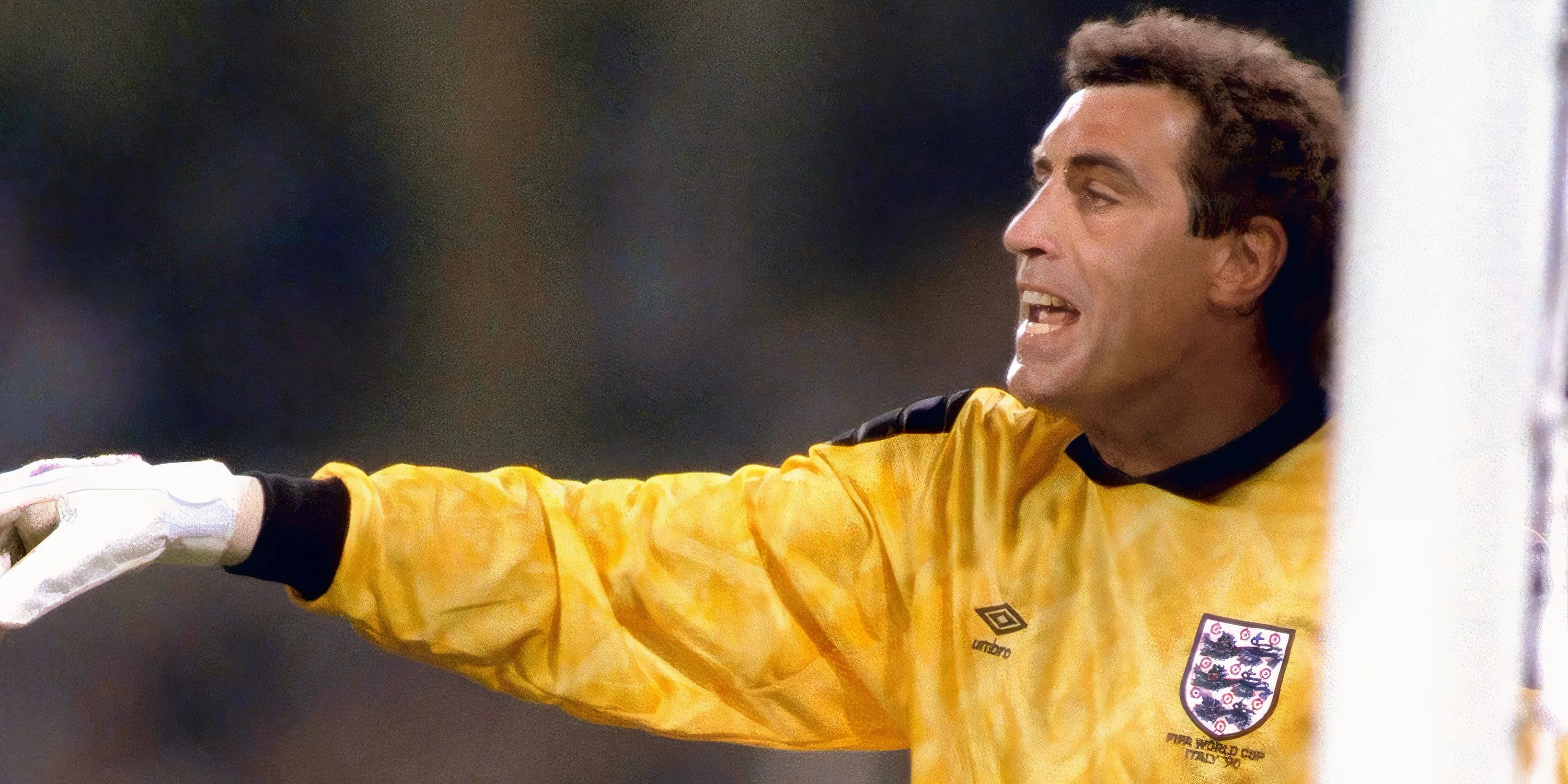 Thủ môn Peter Shilton, người nắm giữ kỷ lục về số lần ra sân chuyên nghiệp, trong sự nghiệp lẫy lừng của mình