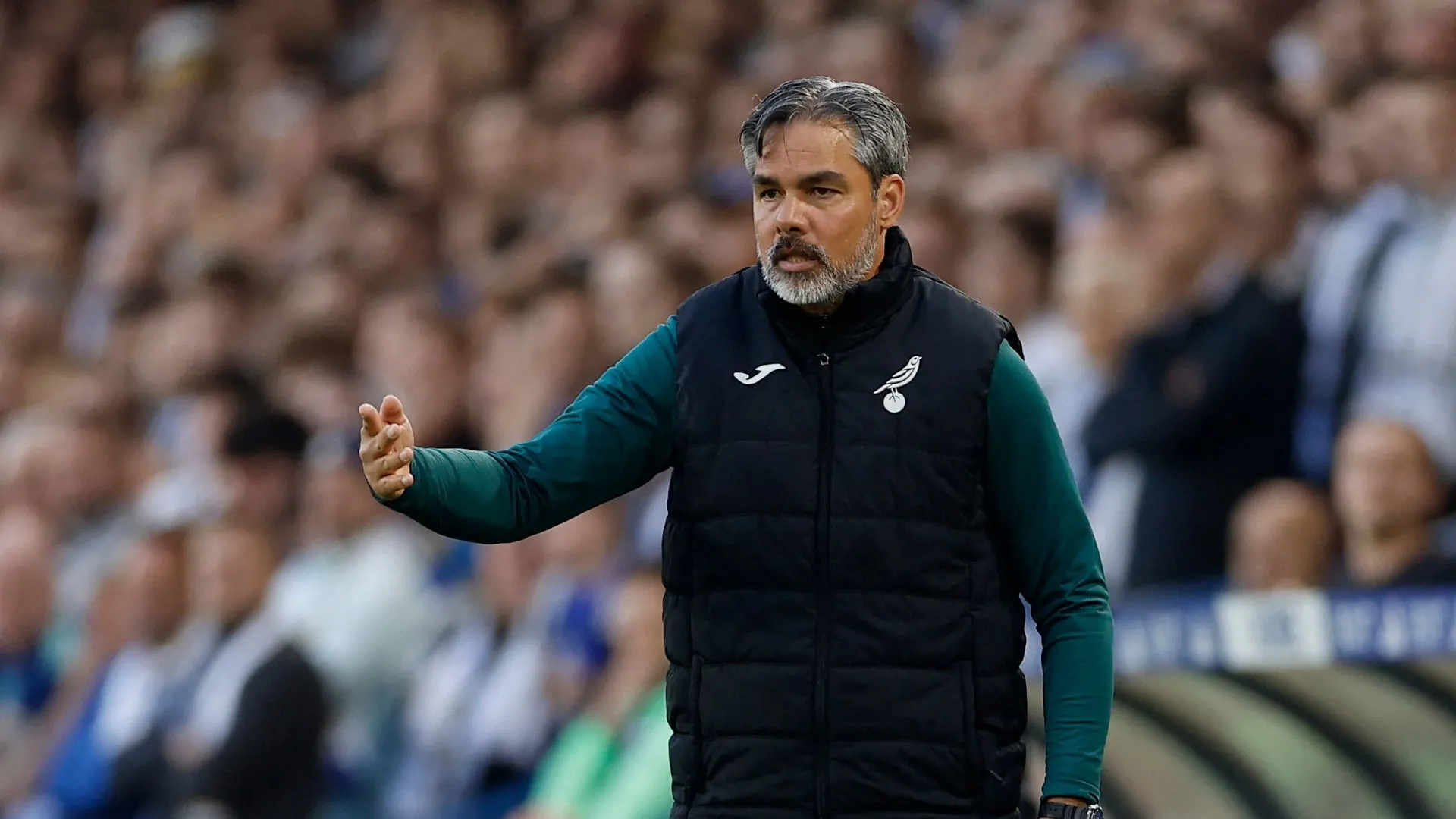 David Wagner dẫn dắt Norwich City trong một buổi họp báo sau trận play-off