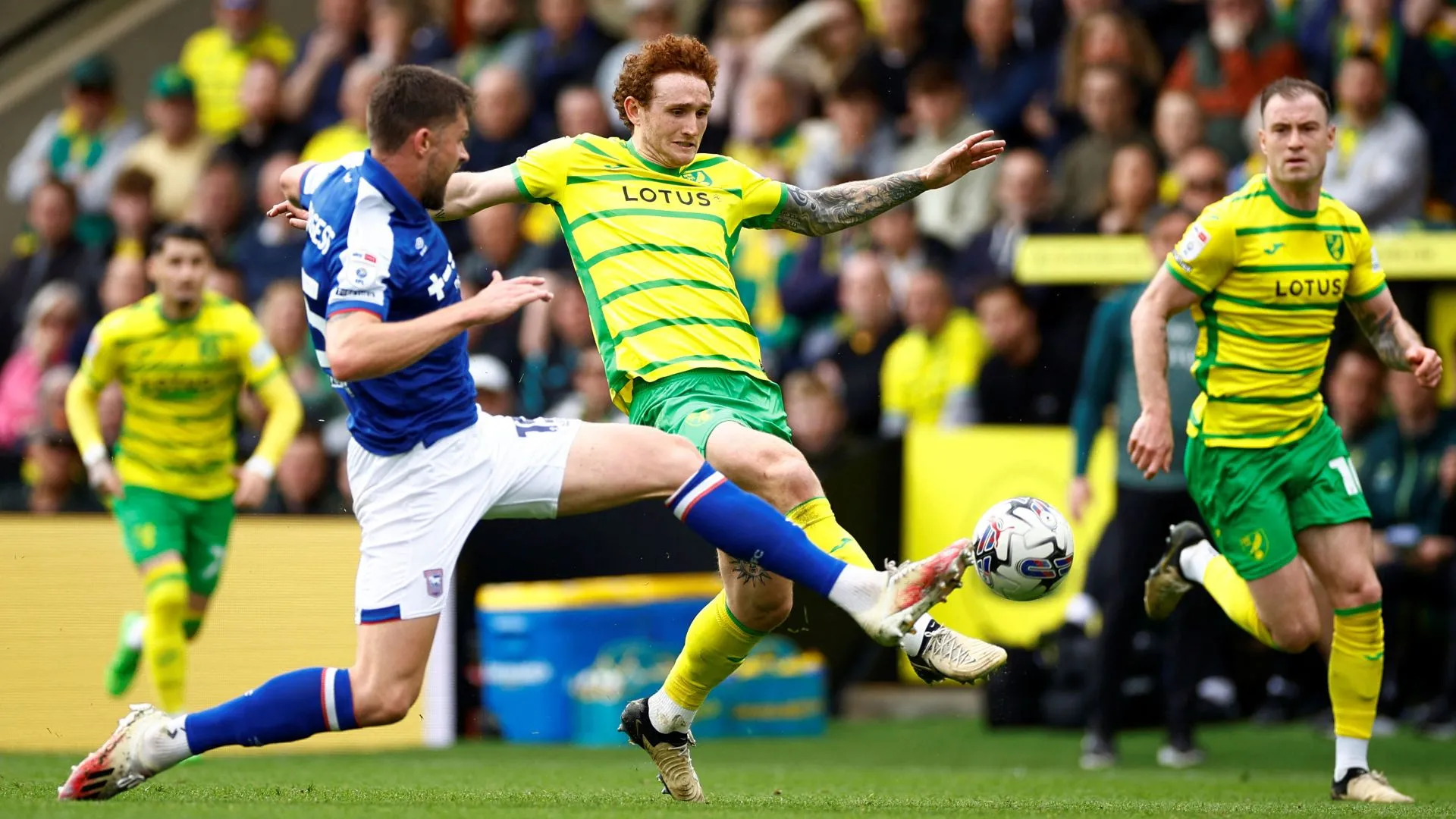 Josh Sargent ăn mừng bàn thắng cho Norwich, thể hiện quyết tâm ở lại CLB