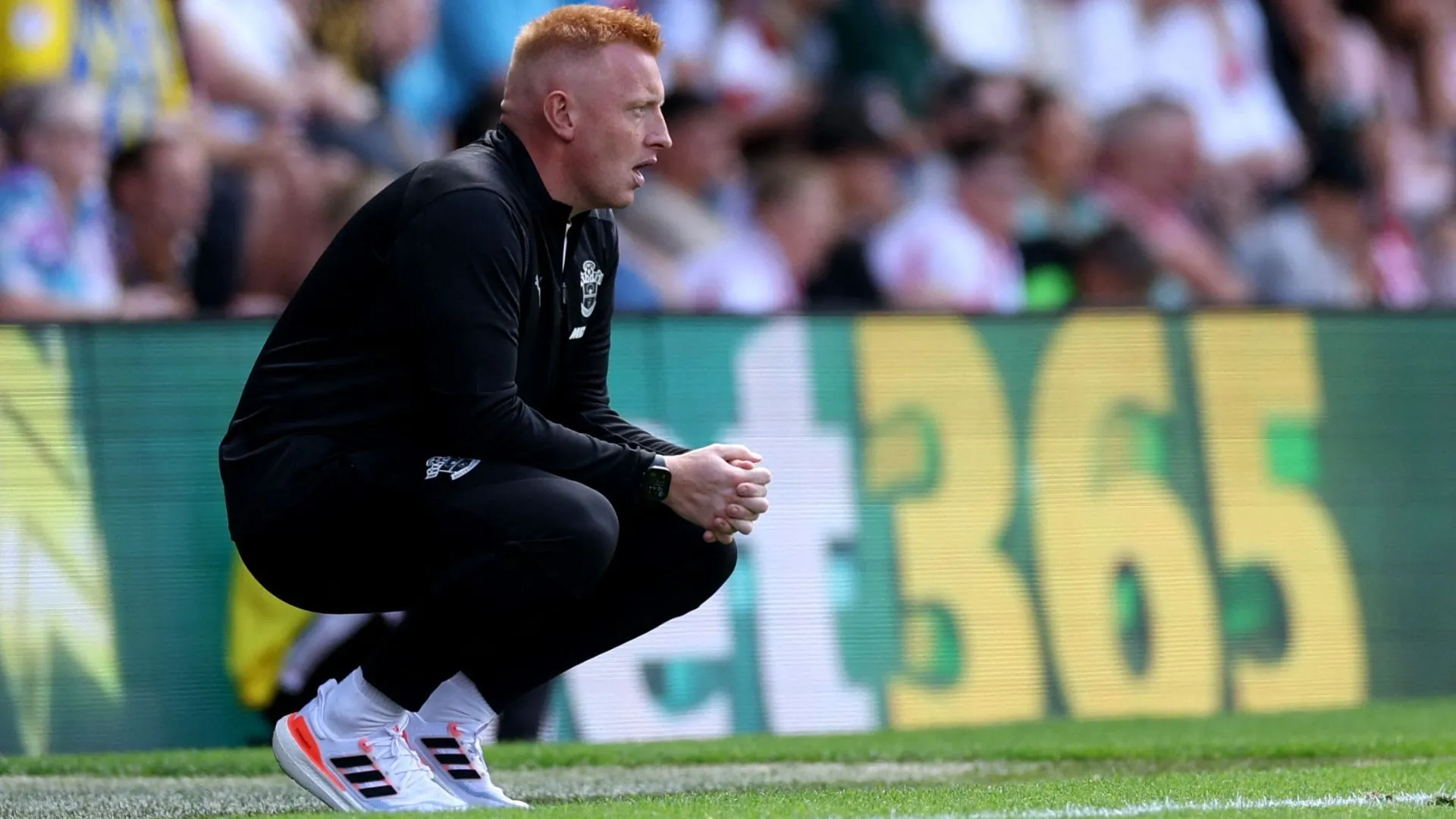 Will Still chỉ đạo từ đường biên, Southampton dưới áp lực tại Championship